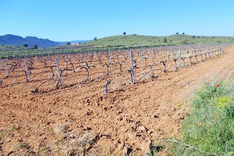 Farm hus i Yecla, Murcia, Yecla - € 410.000 | Ref: SF0064 - foto 17